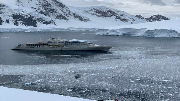 Cap sur le grand nord : vivre une croisière d'aventure en arctique